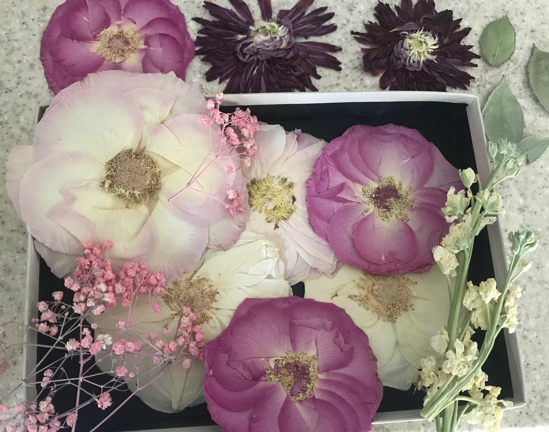 Pressed botanical art